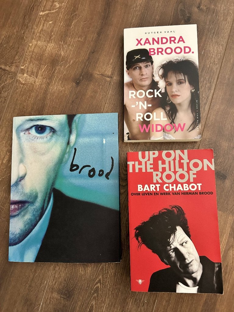 3tal boeken over het leven van Herman Brood, Ophalen of Verzenden, Zo goed als nieuw, Artiest