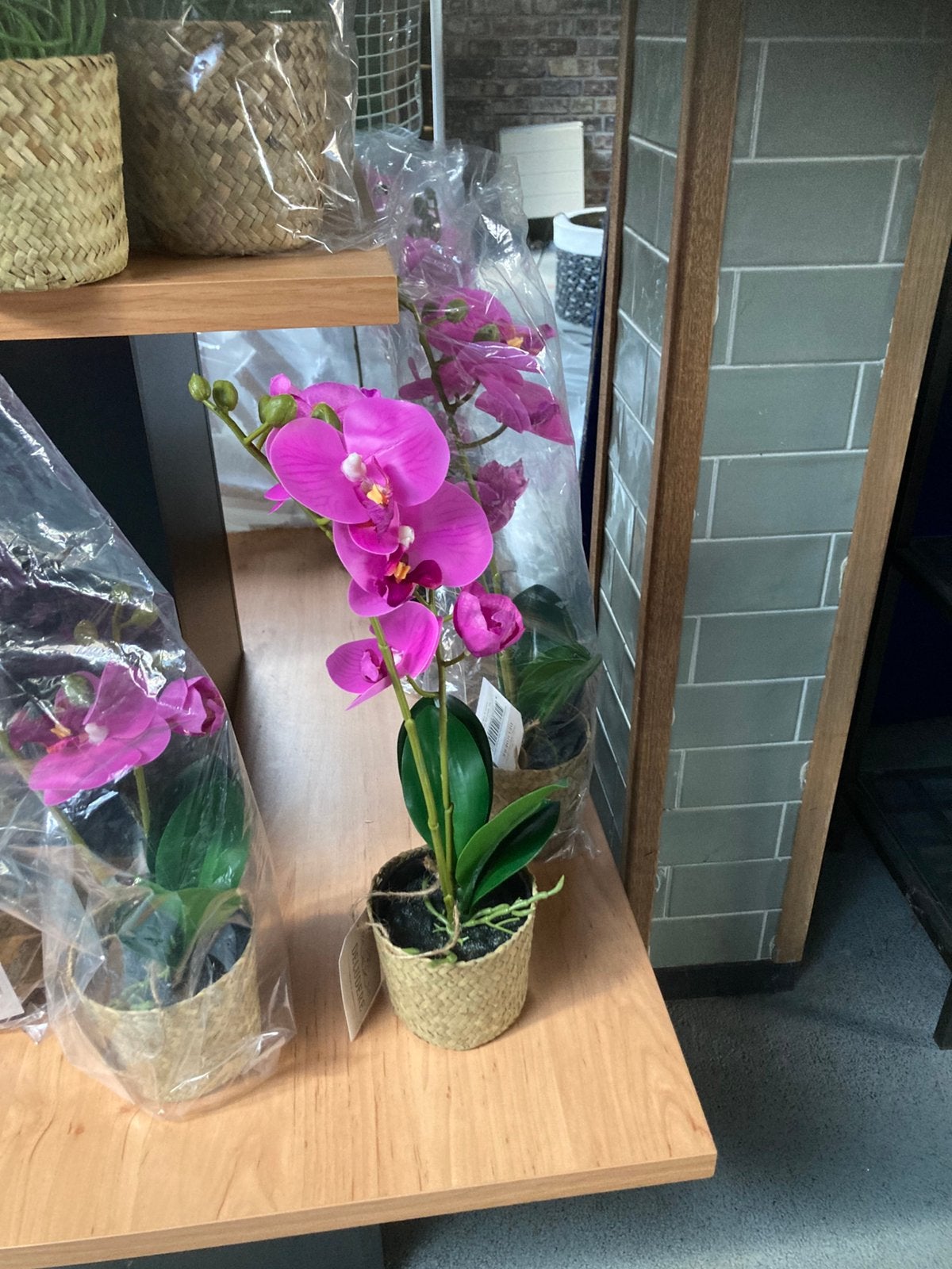 Orchidee 40 cm, Ophalen, ., Nieuw, Deludere