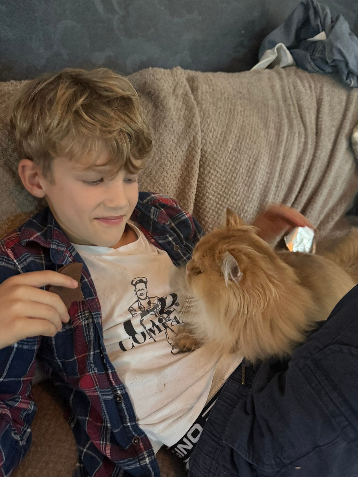 Oppas gezocht voor onze liefste poes sisi in augustus