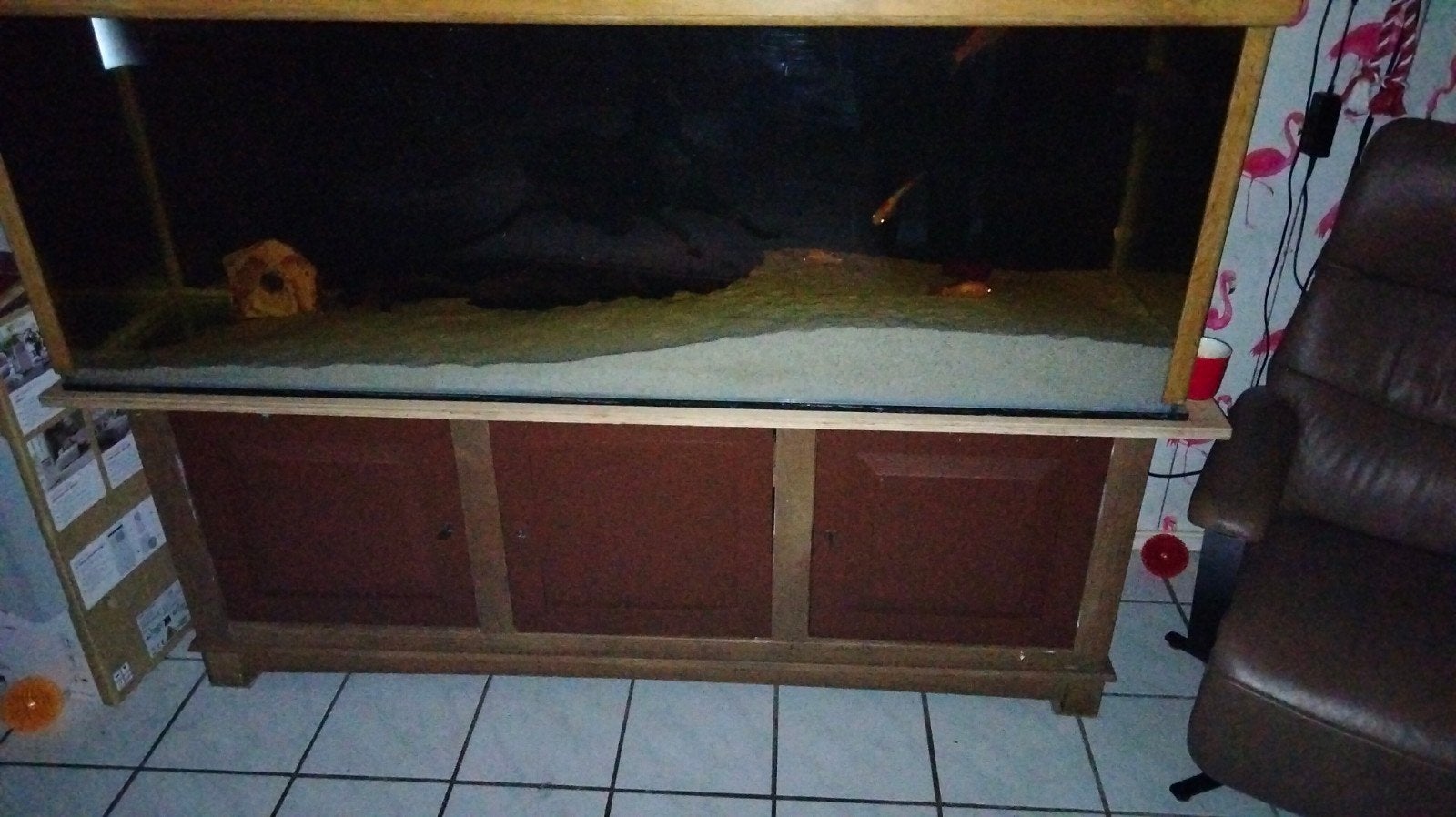 Aquarium, Dieren en Toebehoren, Ophalen