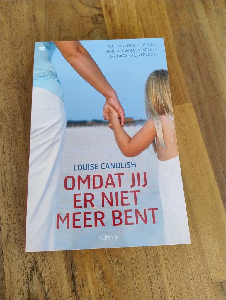 Omdat jij er niet meer bent - Louise Candlish Roman, Ophalen of Verzenden, Gelezen, Louise Candlish, Europa overig