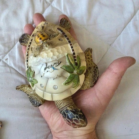 5 Mooie Decoratieve schildpadden - souvenir collectie, Ophalen, Gebruikt