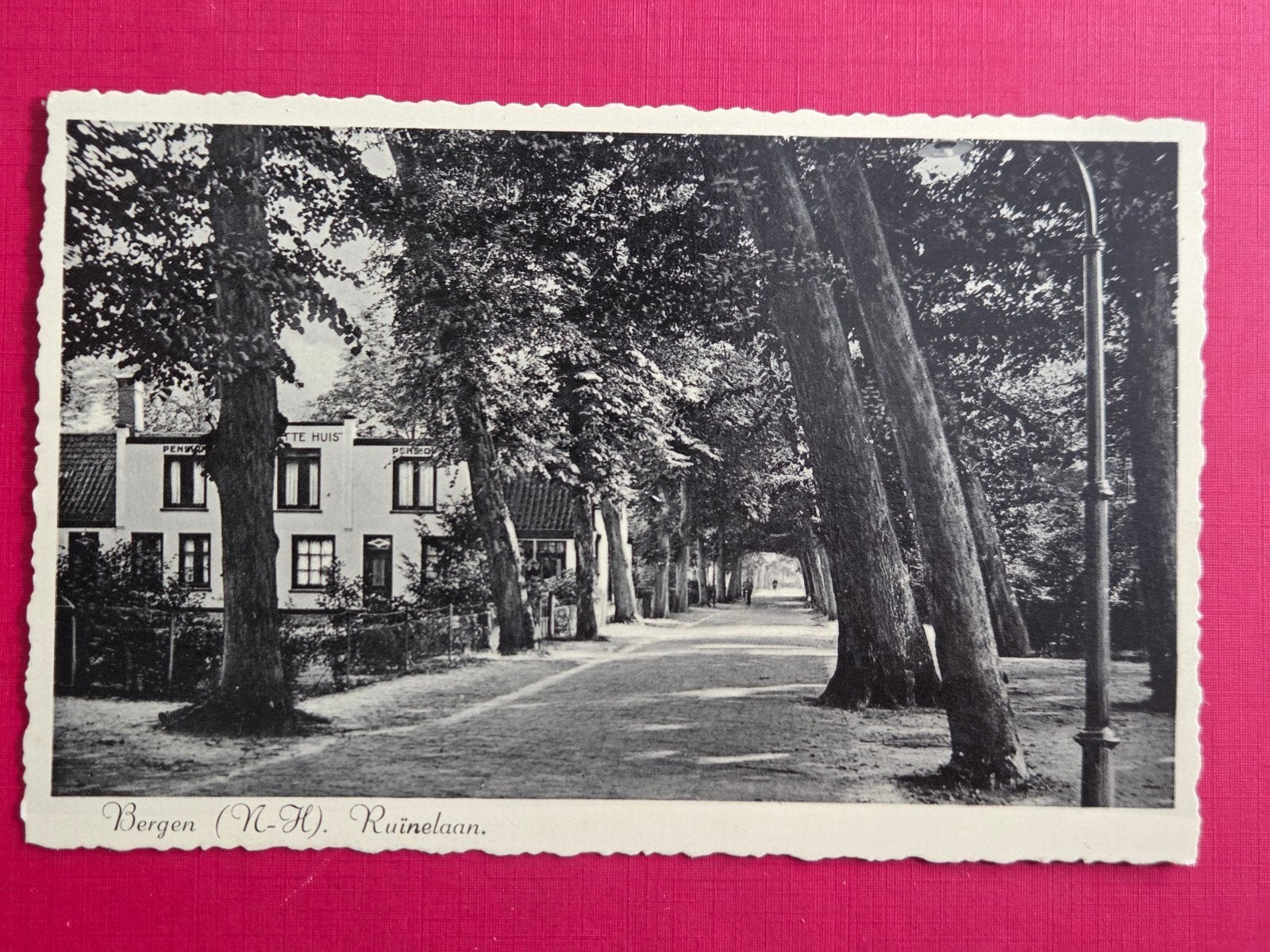 Bergen bij Schoorl Ruinelaan, Verzenden, 1920 tot 1940, Noord-Holland