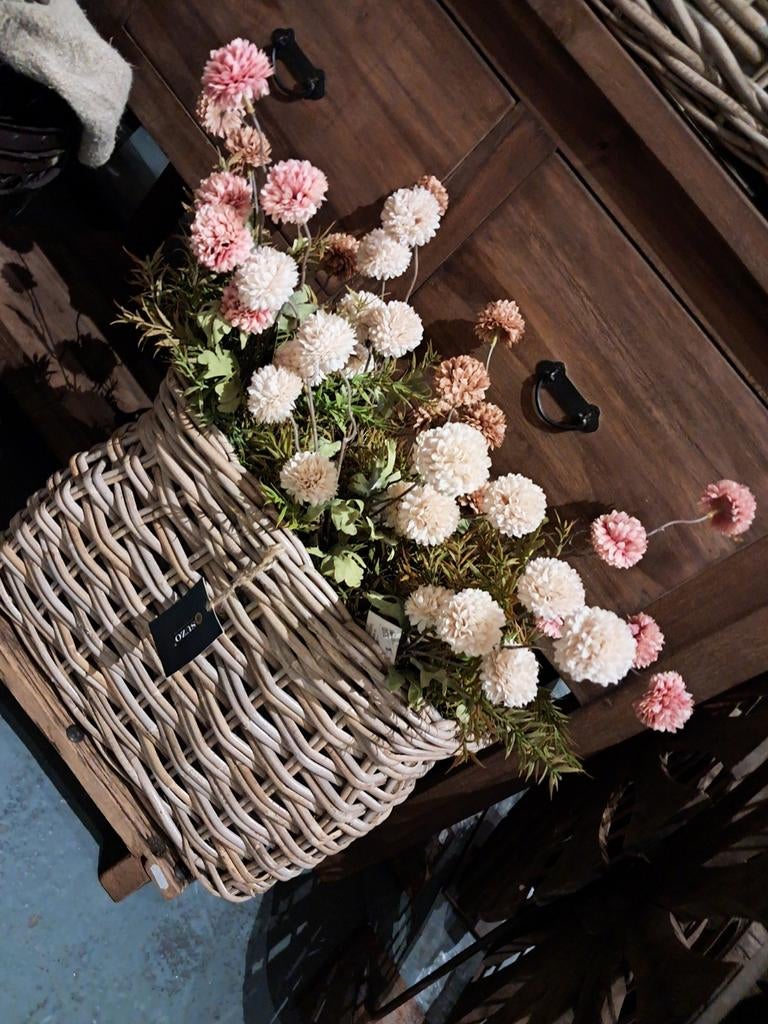 Dahlia €3,50 p.s.  foto 3 is 1, Ophalen of Verzenden, Nieuw, Binnen