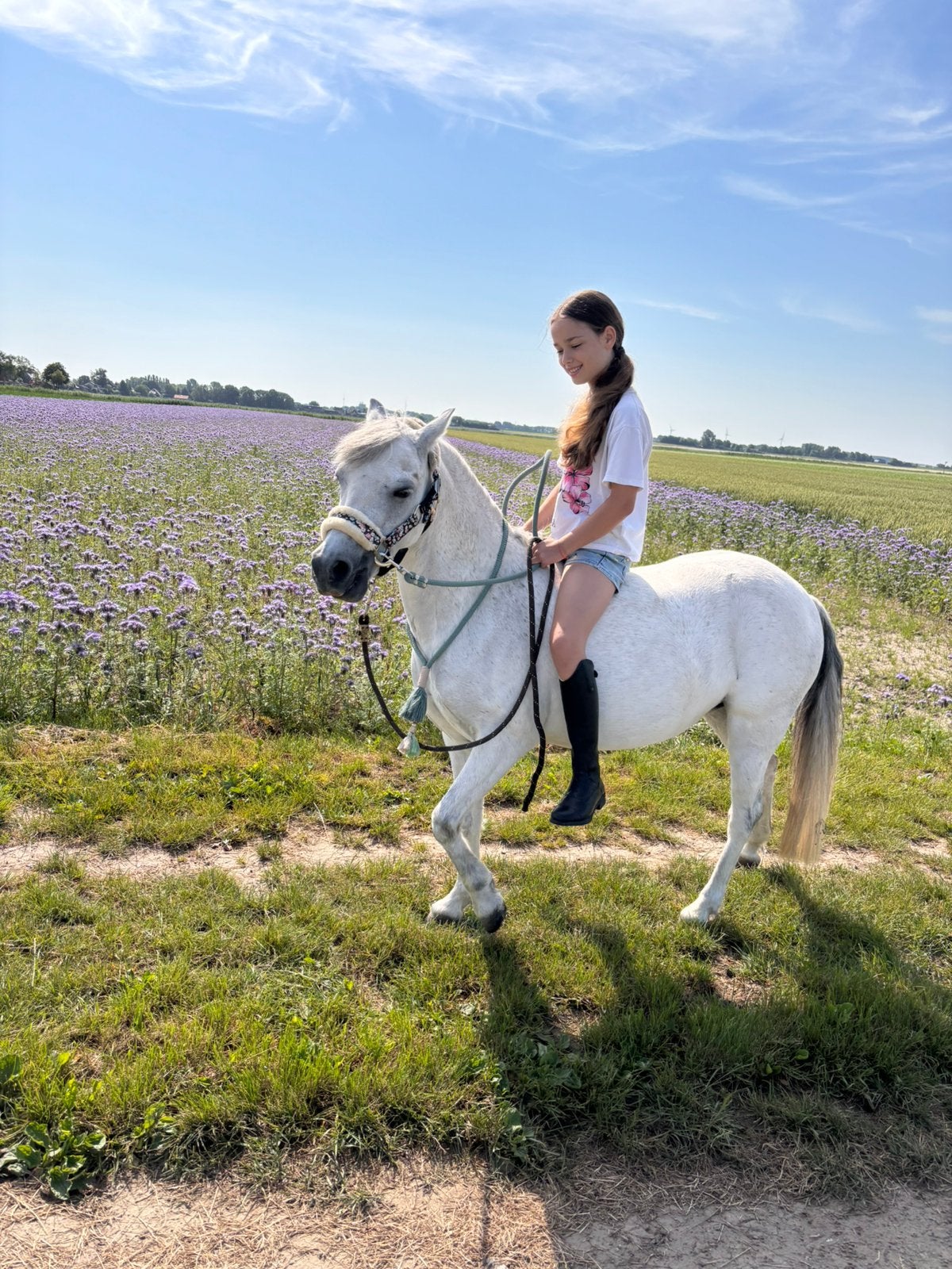 Welsh A pony (116,5) van bijna 9 jaar, Dieren en Toebehoren, Paarden, Minder dan 160 cm, Zadelmak, 7 tot 10 jaar, Recreatiepaard
