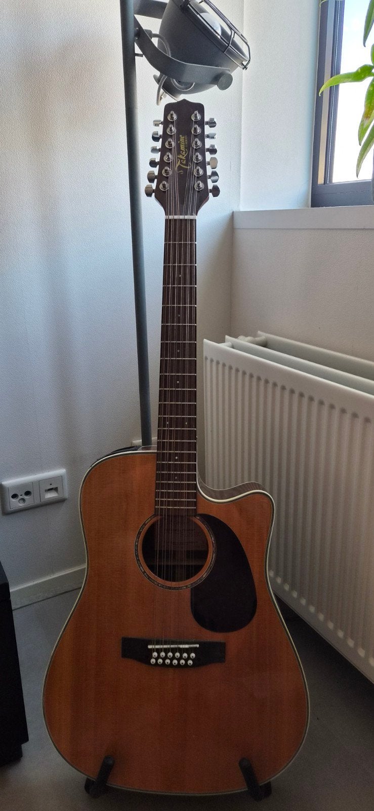 Takamine G-Series 12-snarige westerngitaar met element, Muziek en Instrumenten, Snaarinstrumenten | Gitaren | Akoestisch, Ophalen
