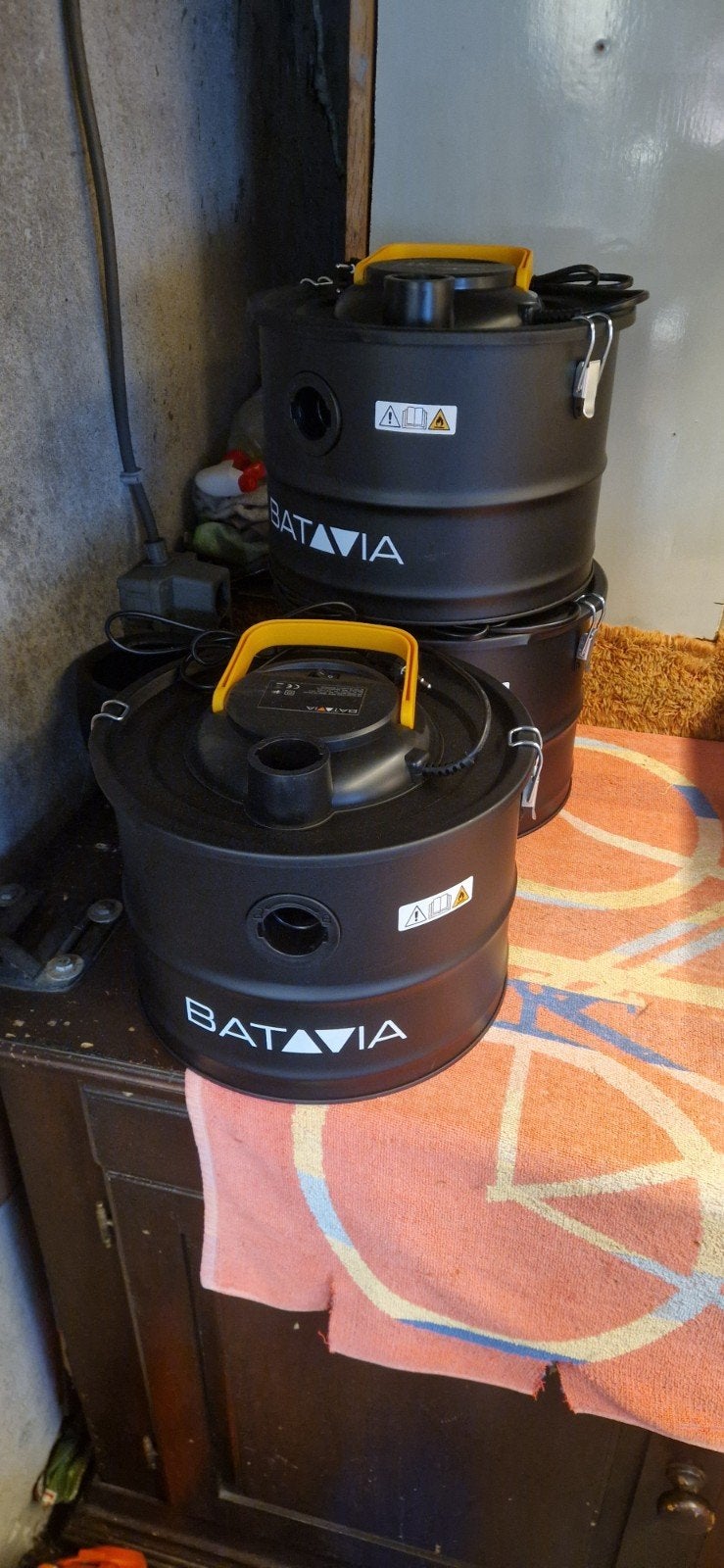 Batavia aszuiger, Tuin en Terras, Ophalen of Verzenden, Nieuw