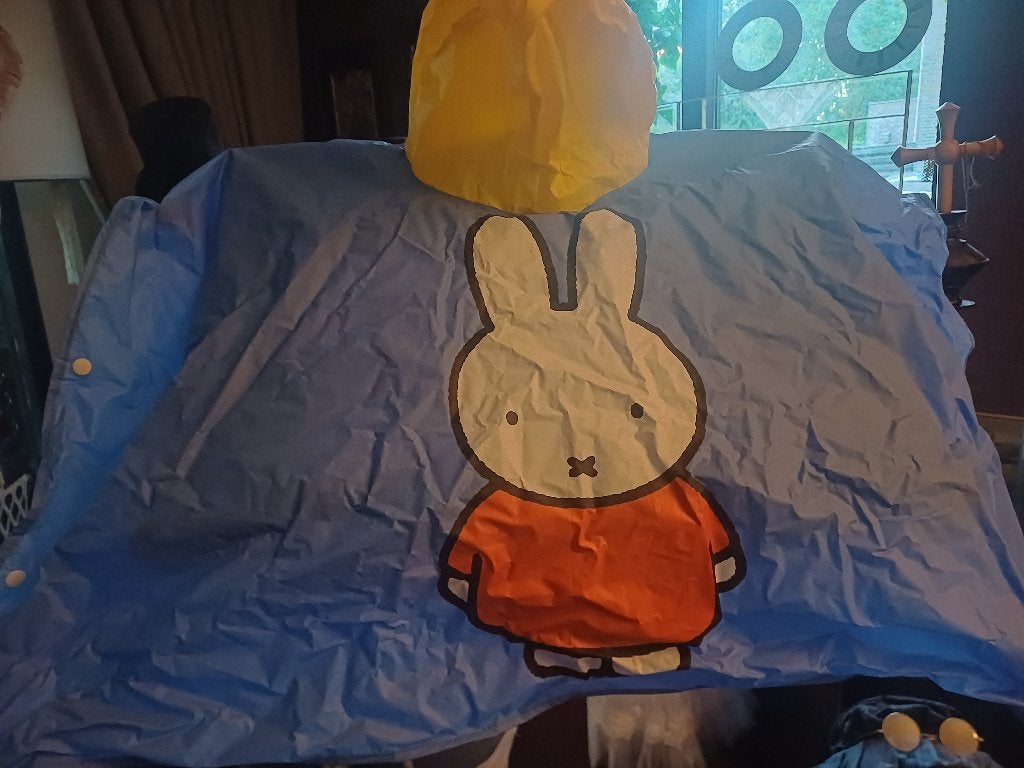 Regenponcho nijntje, Kinderen en Baby's, Ophalen, Jongetje of Meisje
