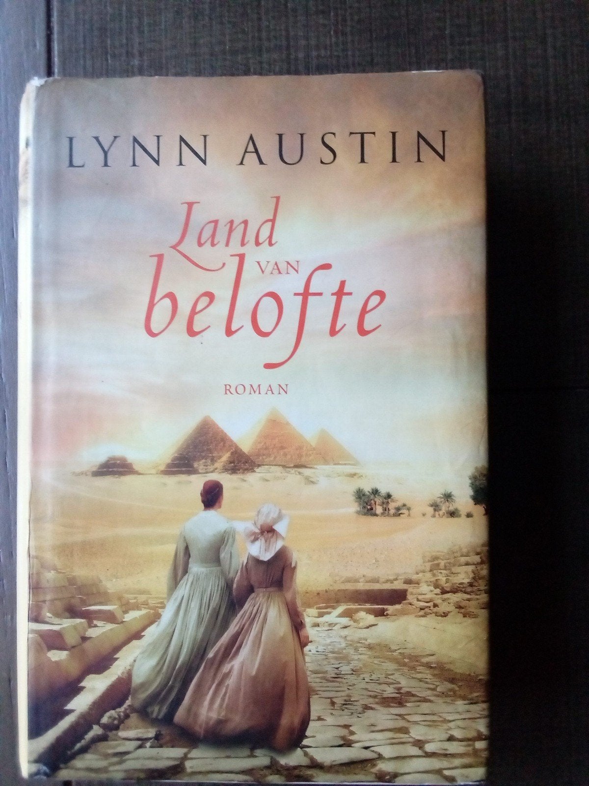 Land van Belofte - Roman van Lynn Austin, Ophalen, Gelezen, Lynn Austin, Nederland