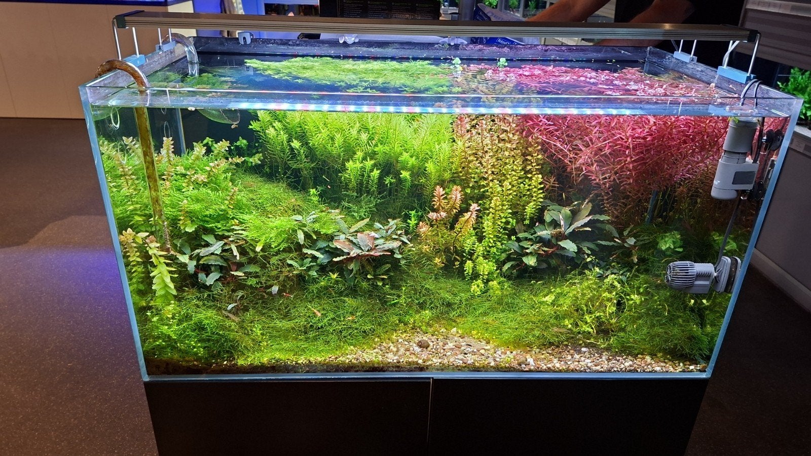 Alle spullen voor voor een prachtig aquarium, Dieren en Toebehoren, Ophalen of Verzenden, Zo goed als nieuw