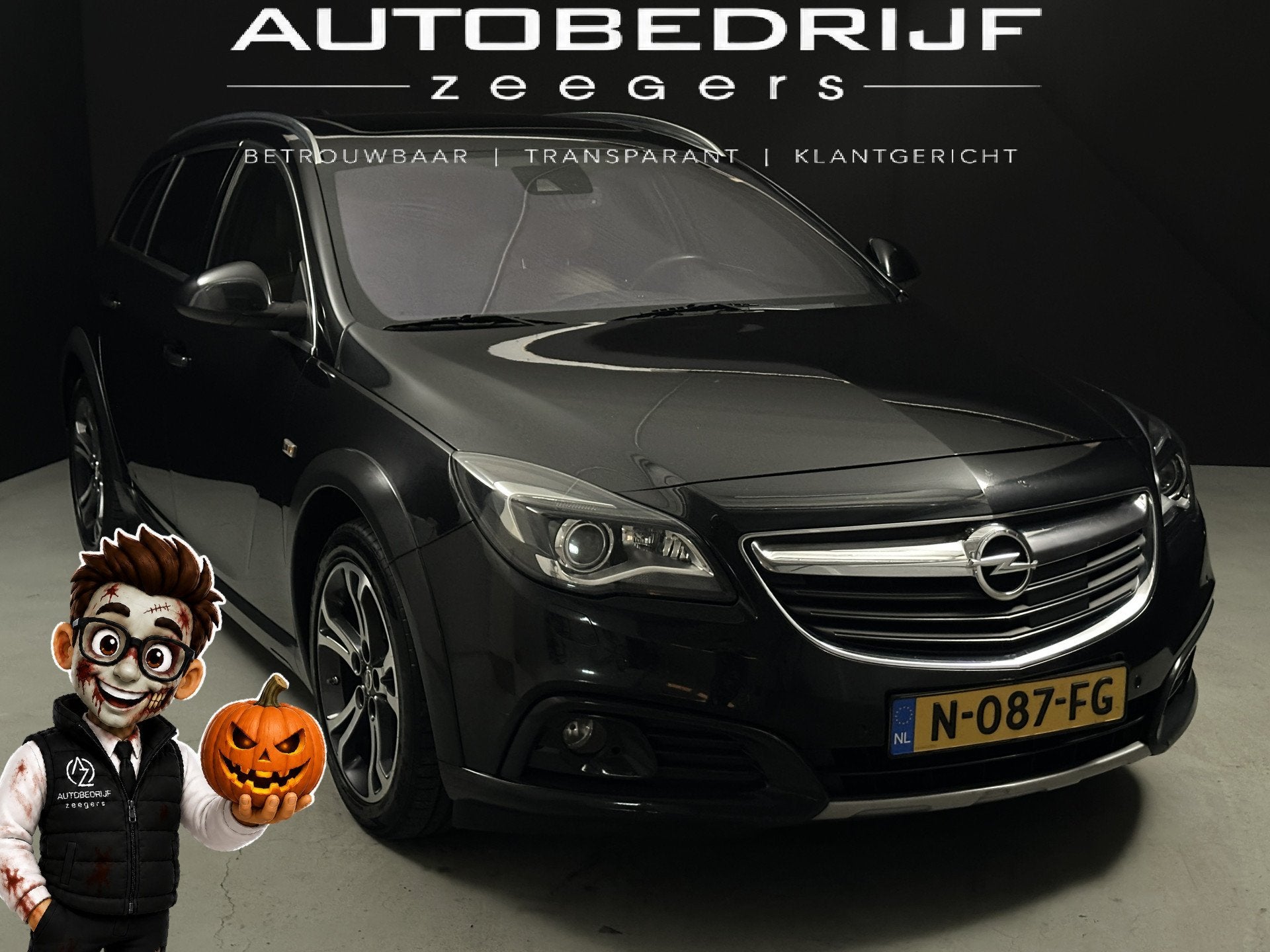 Opel Insignia Sports Tourer 2.0 T Cosmo 4x4 *Pano*Full Leath, 1998 cc, Xenon verlichting, Gebruikt, Euro 6