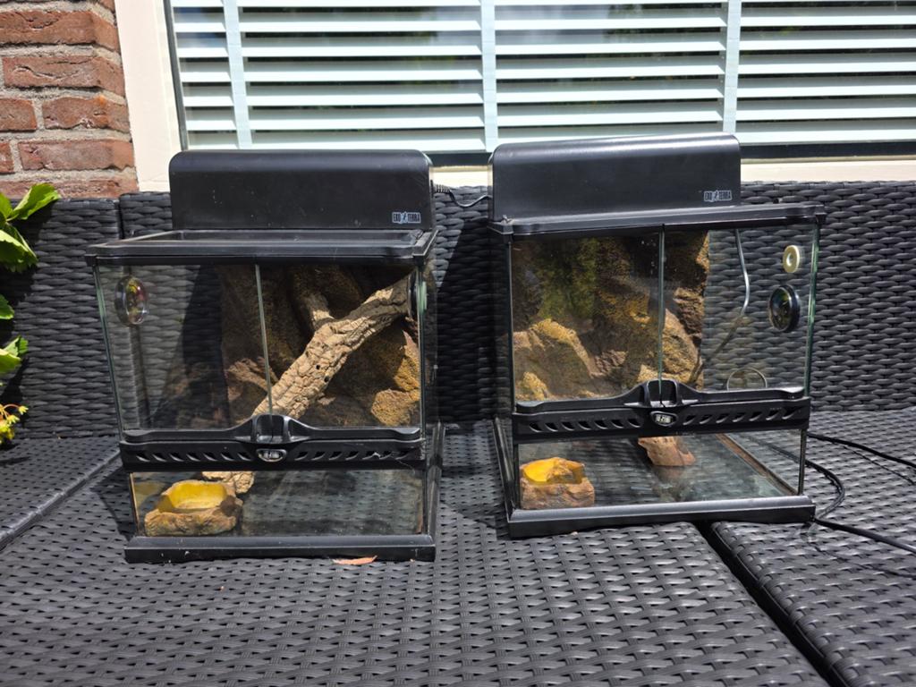 Exo Terra terrariums 30x30x30