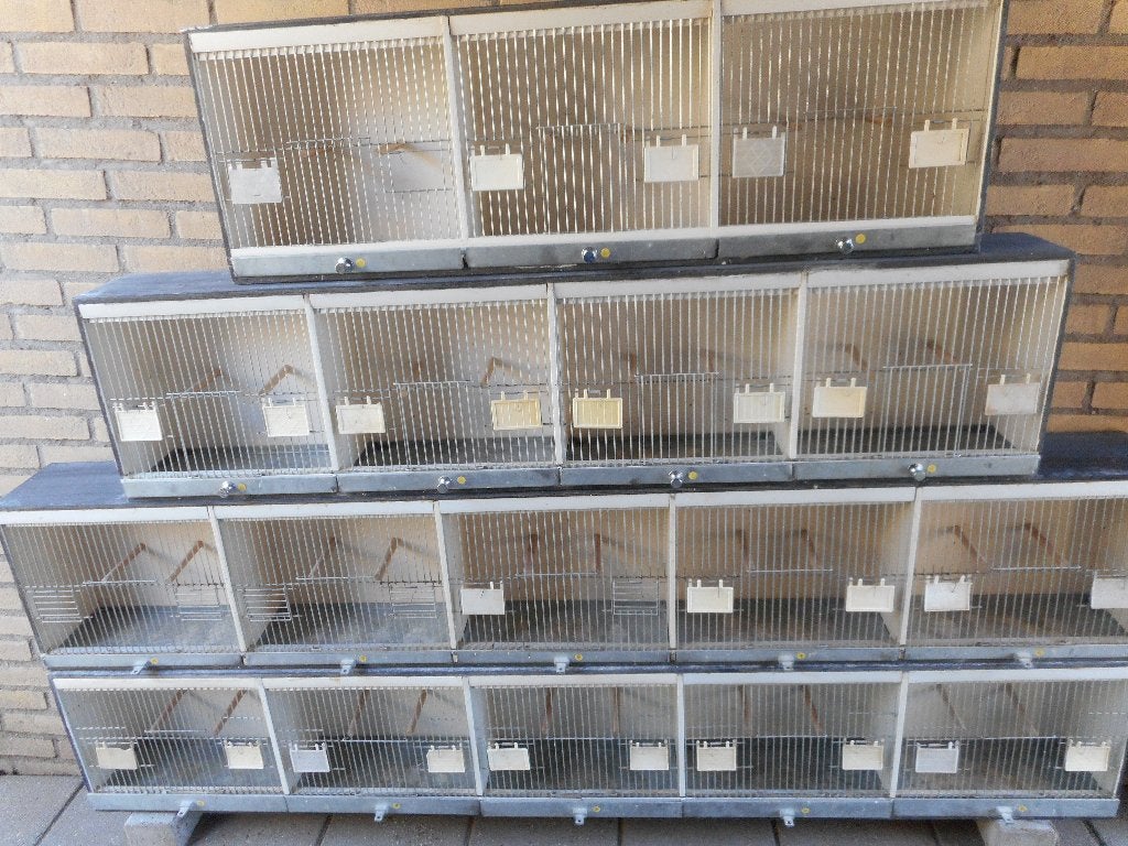 TT-kooien, Ophalen, Gebruikt, Hout, Vogelkooi