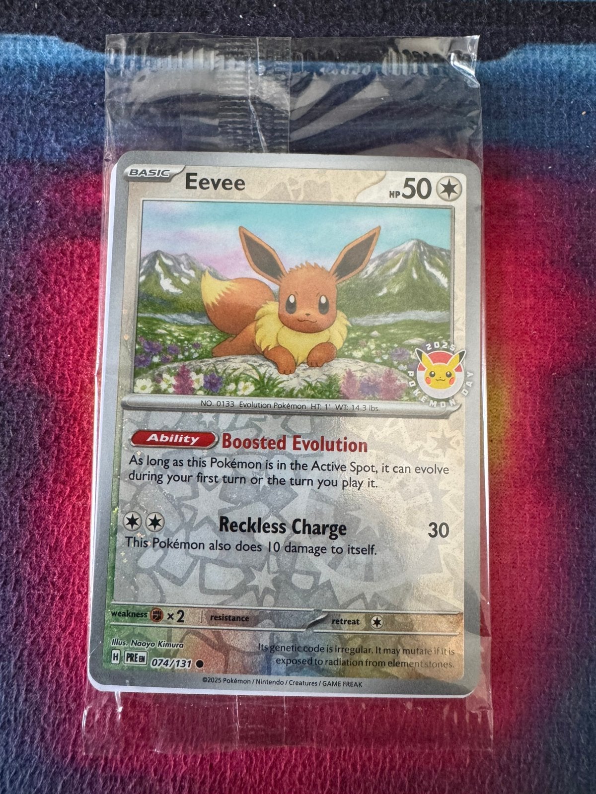 Eevee Pokemon Day 2025 Promo Sealed, Ophalen of Verzenden, Nieuw