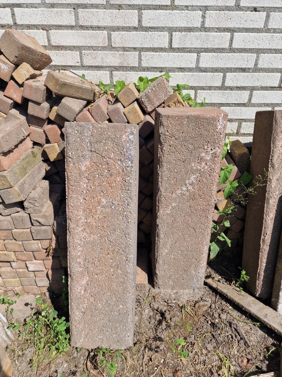 Bielzen, Tuin en Terras, Bielzen en Borders, Ophalen, 100 tot 200 cm, Biels, Minder dan 25 cm
