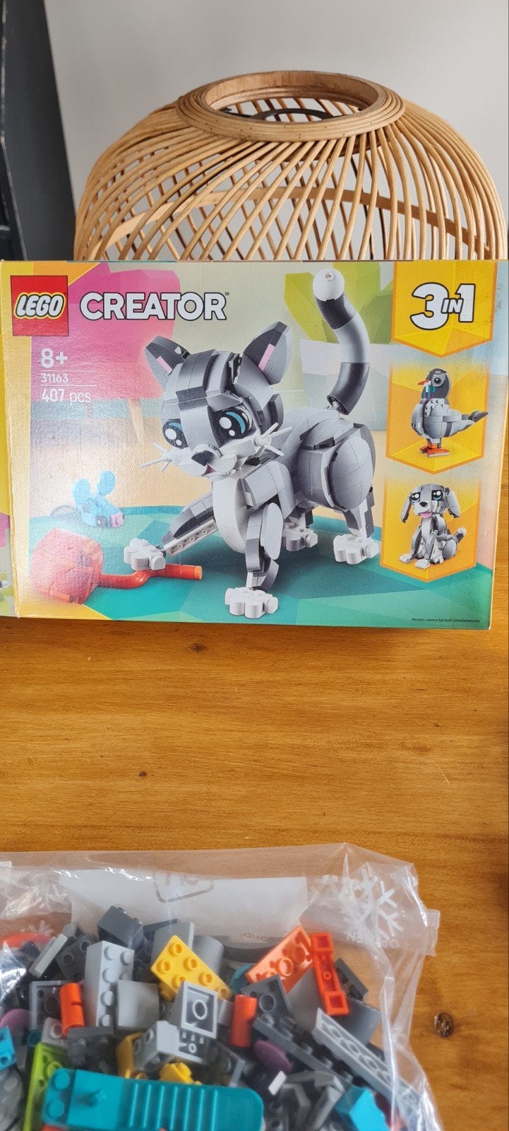 lego Creator 8+ (goed lezen), Ophalen