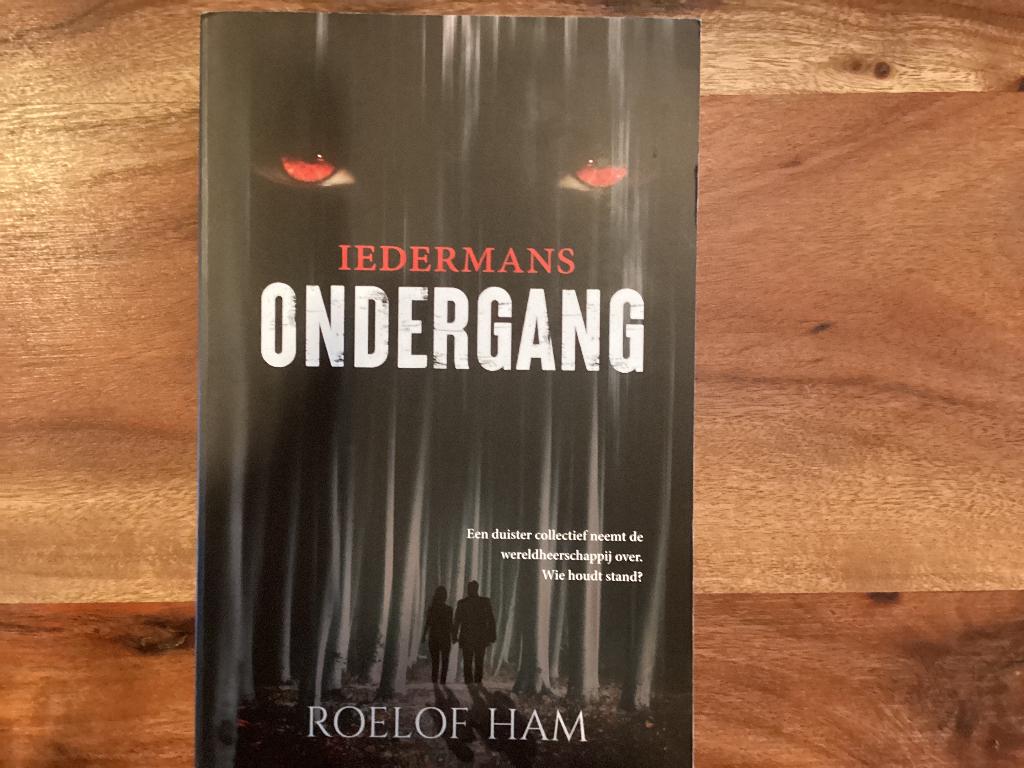 Iedermans Ondergang Roelof Ham, Ophalen of Verzenden, Gelezen, Roelof Ham