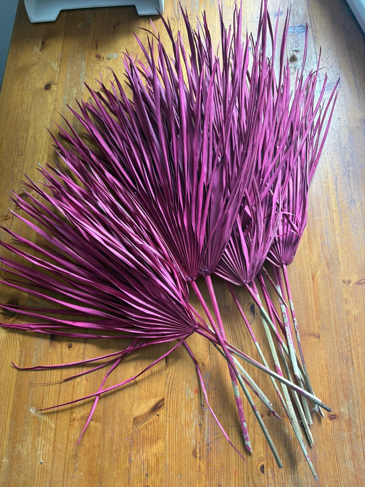55 stuks Gedroogd groot palmblad in verschillende kleuren, Ophalen of Verzenden, Nieuw