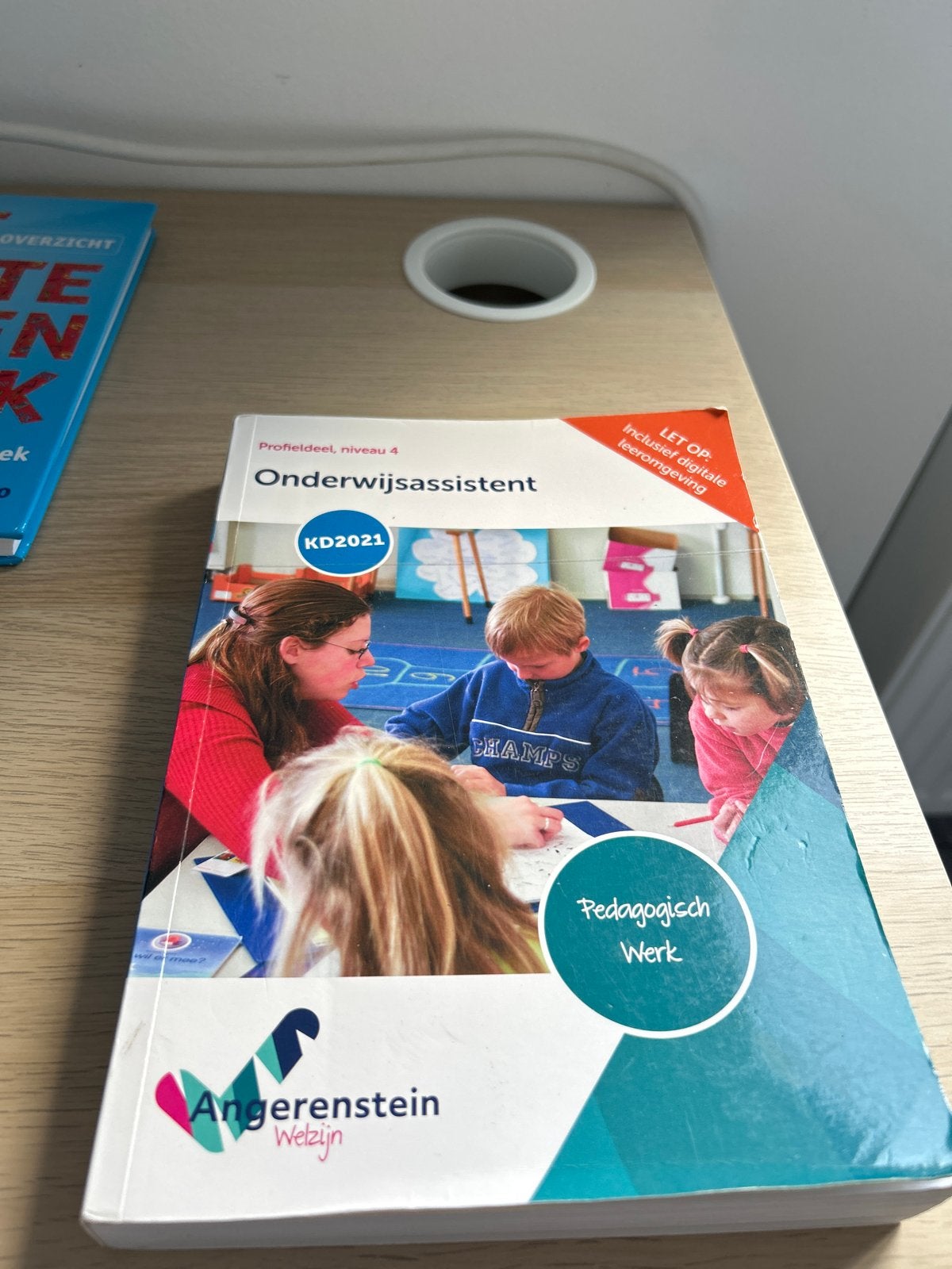 Onderwijsassistent Profieldeel niveau 4 - Pedagogisch Werk, Ophalen of Verzenden, Zo goed als nieuw, Overige niveaus, Overige vakken