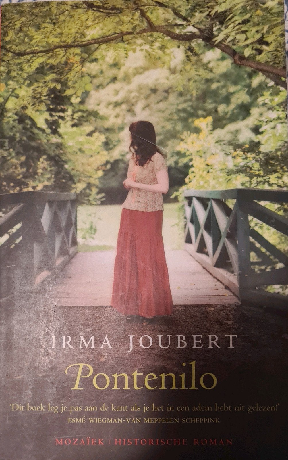 Pontenilo - Irma Joubert (Historische Roman), Boeken, Ophalen of Verzenden, Zo goed als nieuw, Irma Joubert