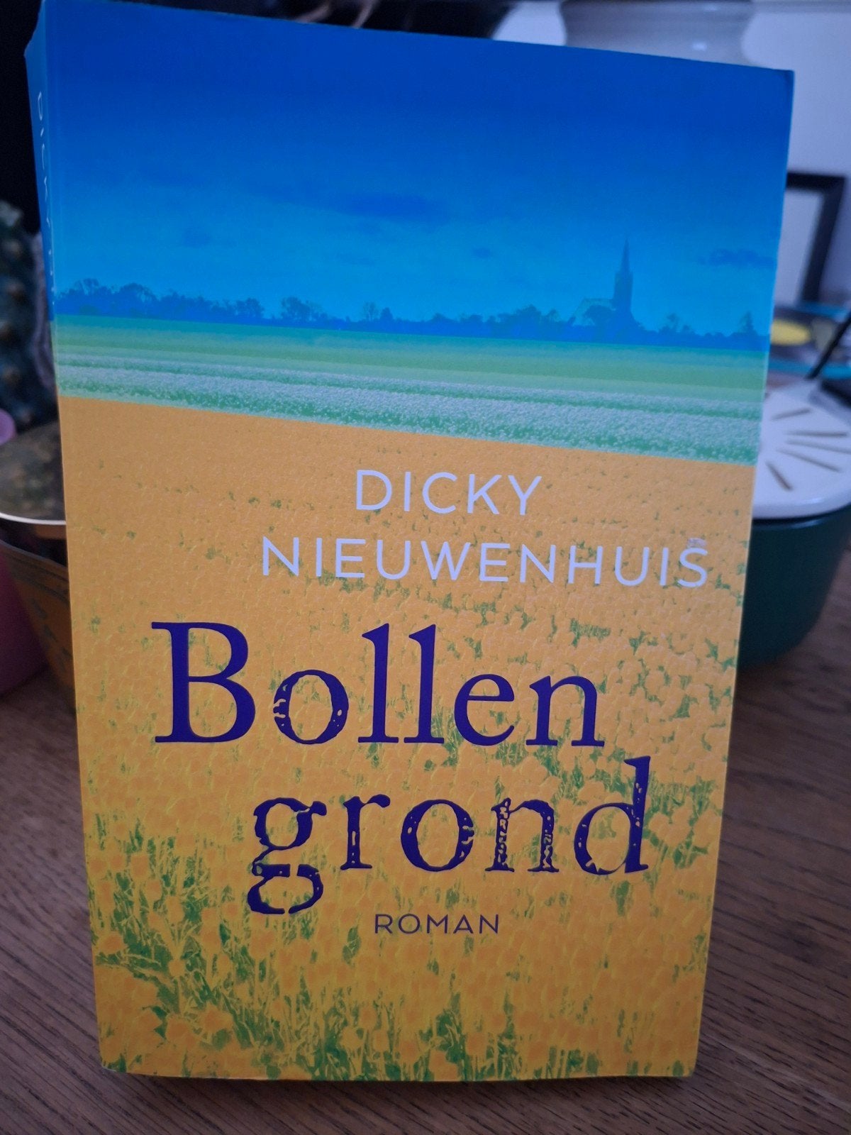 Dicky Nieuwenhuis - Bollengrond, Verzenden, Zo goed als nieuw, Dicky Nieuwenhuis