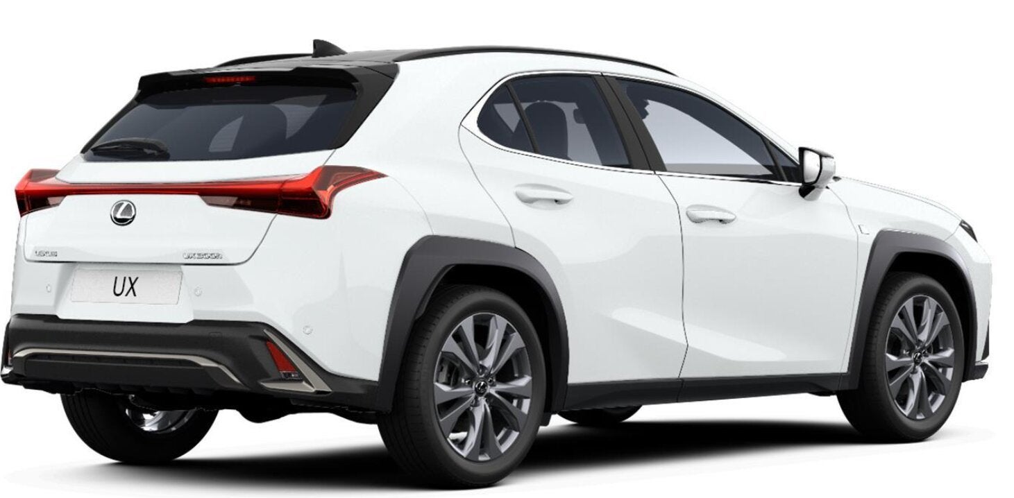 Lexus UX 300h Ultimate Edition | ACTIE | Inruil & Voorraad B, Auto's, Lexus, Zwart, 4 cilinders, Wit, Leder