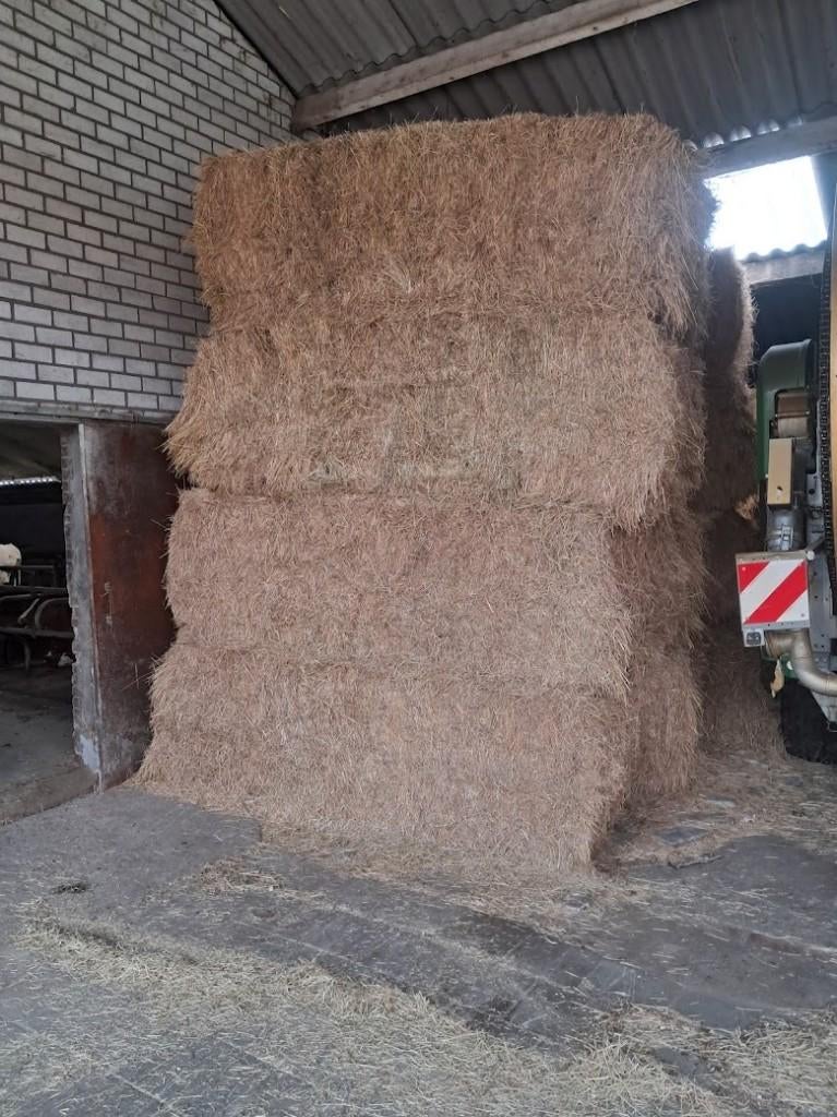 Te koop grote balen natuurhooi, Ophalen, Vee