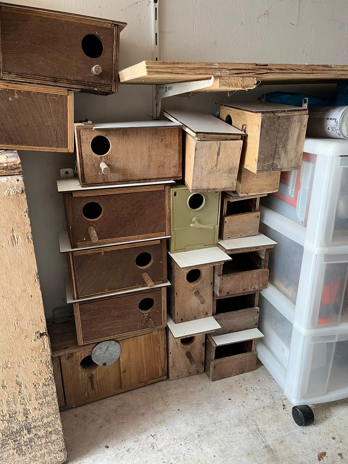 Diverse vogelhuisjes en broedblokken, Ophalen of Verzenden, Gebruikt