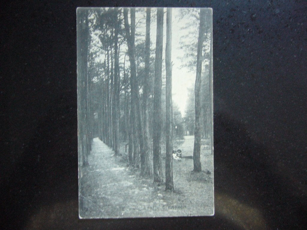 GINNEKEN  =  EEUWIGE LAANTJE MET 2 KINDEREN BRIEFKAART 1912, Ophalen of Verzenden, Voor 1920, Gelopen, Overijssel