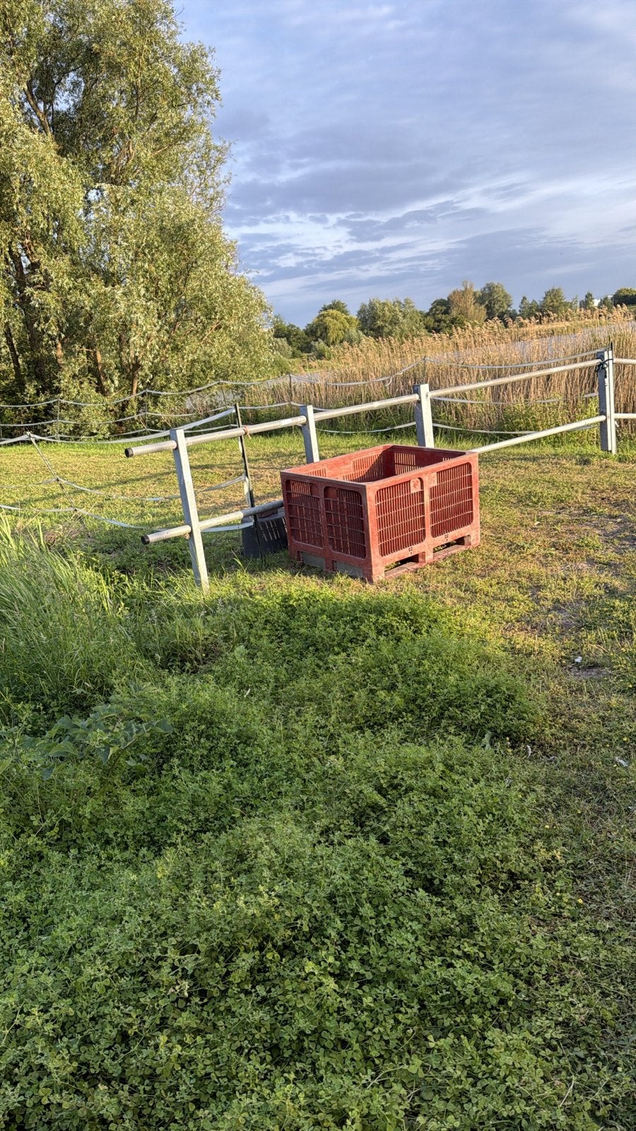 Pallet bak / hooi bak