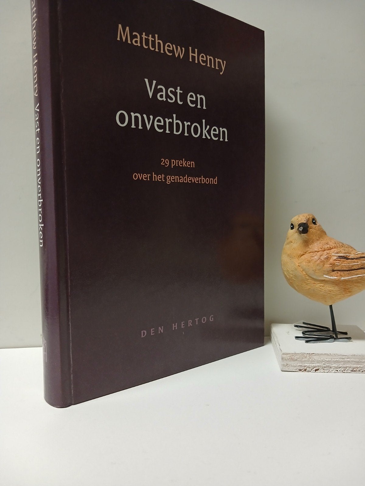 Henry, Matthew; Vast en onverbroken (29 preken over het, Boeken, Ophalen of Verzenden, Zo goed als nieuw, Christendom | Protestants