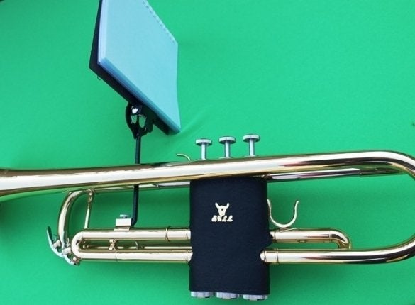 Diverse accessoires voor trompetten demper, standaard, harp, Niet ingevuld, Niet ingevuld, Nieuw, Ophalen of Verzenden