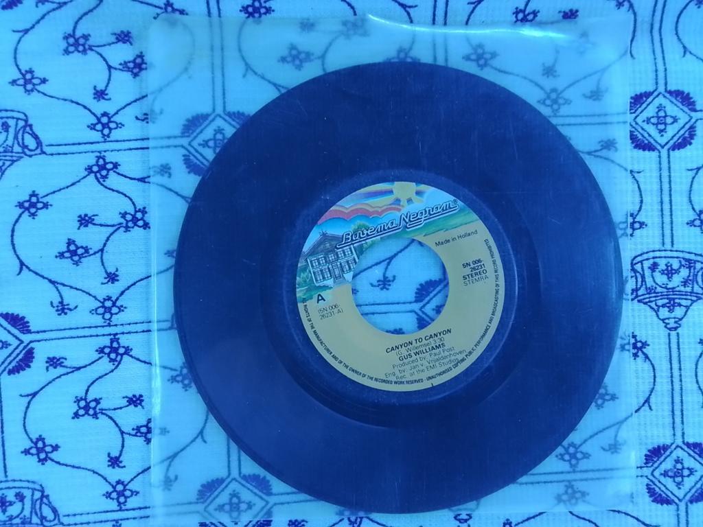 Gus williams           Canyon to canyon, Ophalen of Verzenden, Zo goed als nieuw, Pop, Single