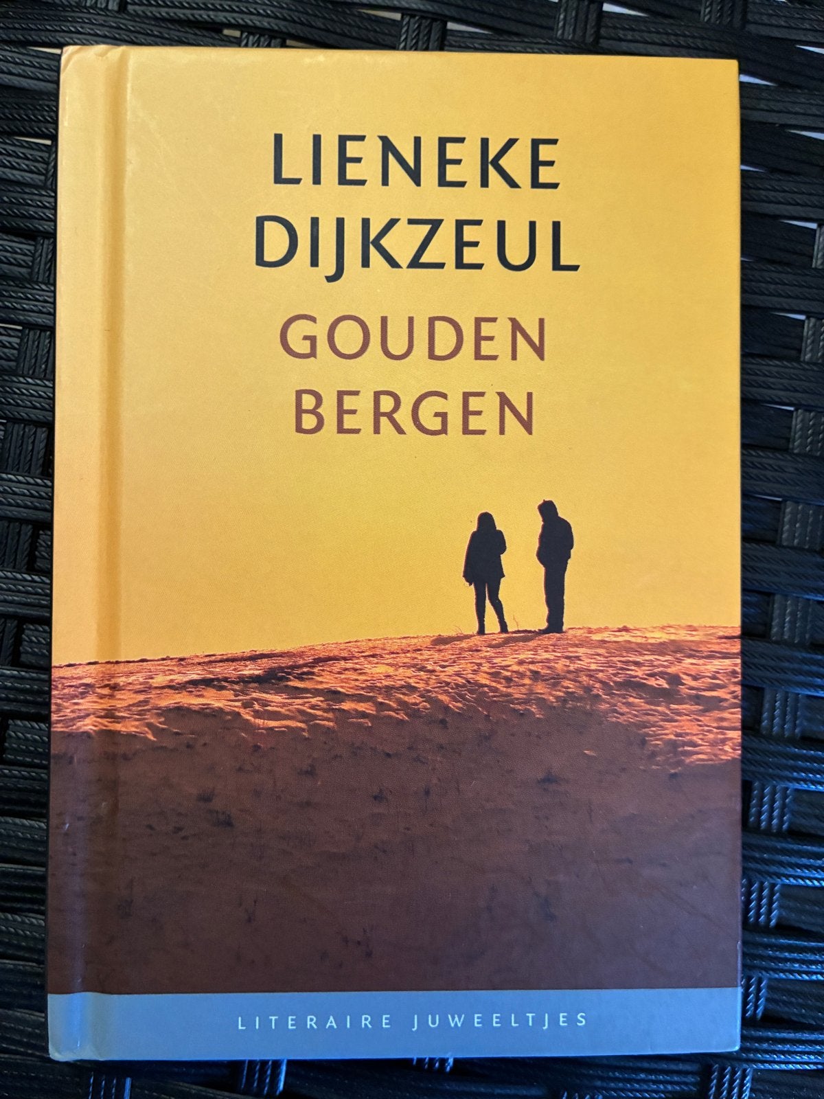 Lieneke Dijkzeul - Gouden Bergen (klein boekje), Ophalen of Verzenden, Zo goed als nieuw, Nederland