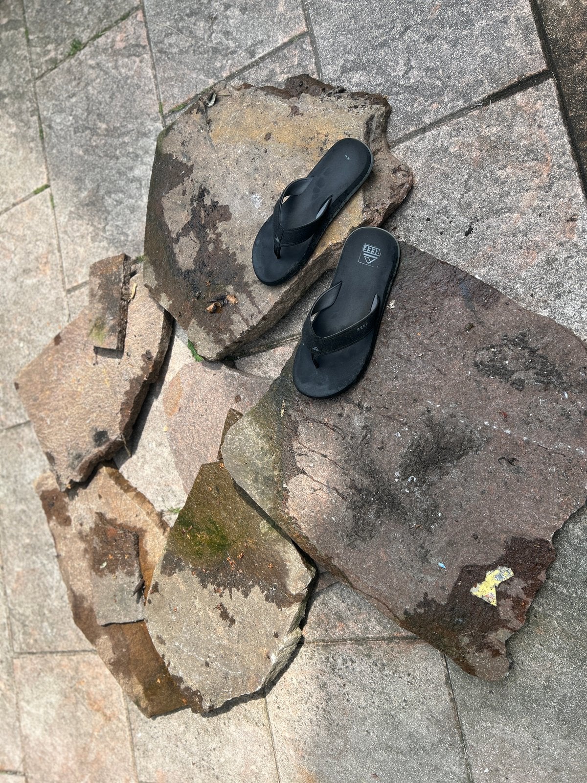 Stepstones / staptegels, Ophalen, Zo goed als nieuw, Beton, Terrastegels