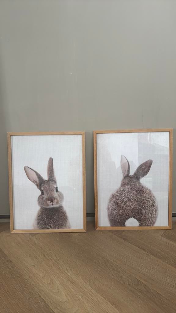 Schilderij met konijn, Ophalen of Verzenden, Zo goed als nieuw, Hout