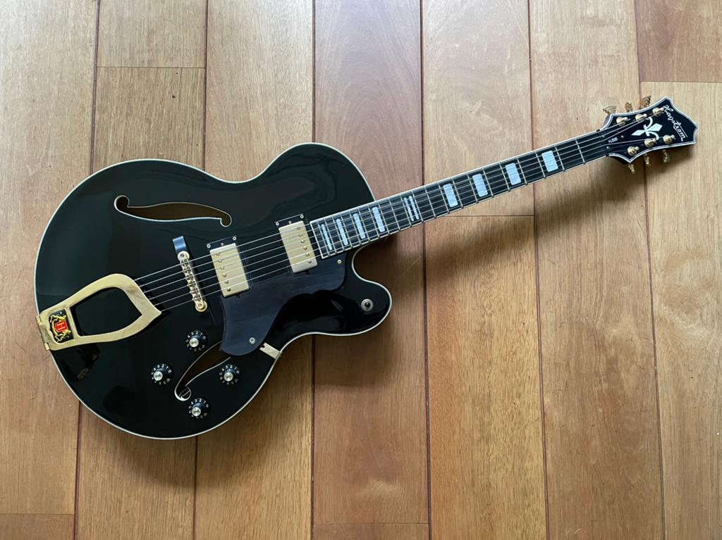Hagstrom HJ500 hollowbody elektrische gitaar, Ophalen, Zo goed als nieuw, Hollow body, Overige merken