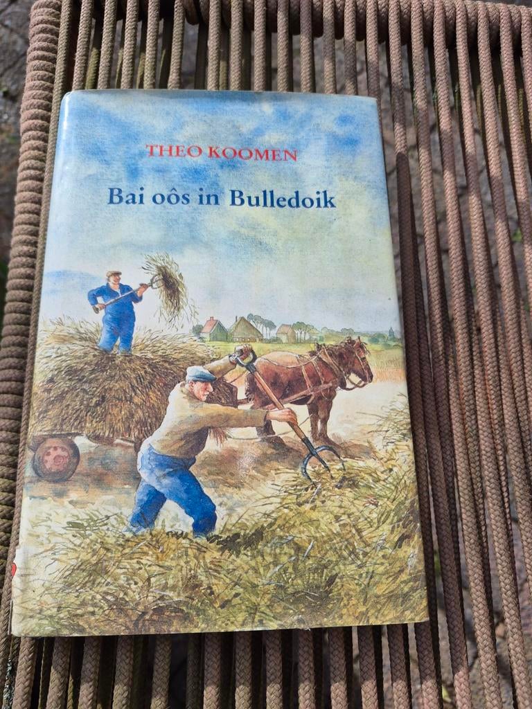 Bai oôs in Bulledoik - Theo Koomen (Boek), Ophalen of Verzenden