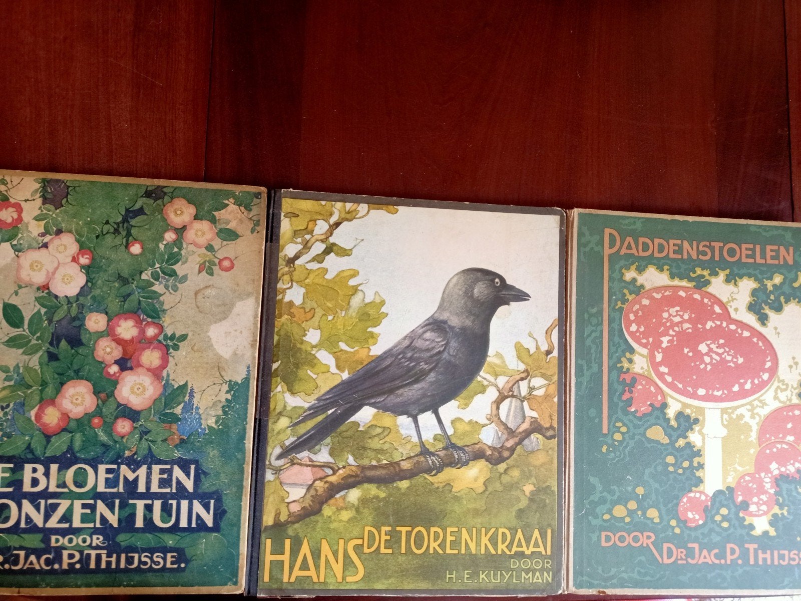 Verkade albums, Ophalen of Verzenden, Gelezen
