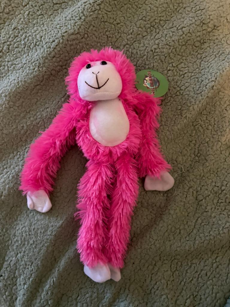 Roze aap knuffel van Wildlands Adventure Zoo Emmen, Overige merken, Overige karakters, Ophalen of Verzenden, Middelgroot (20 tot 80 cm)