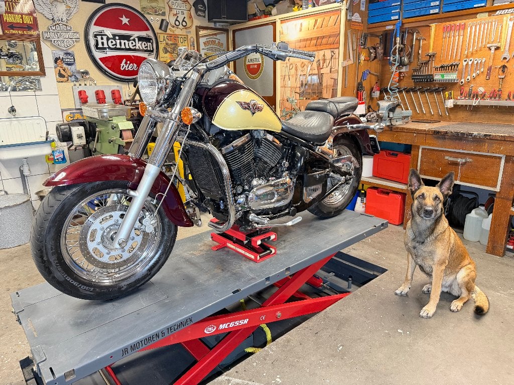 Kawasaki VN800, Motoren, 2 cilinders, Occasion, Chopper, Particulier