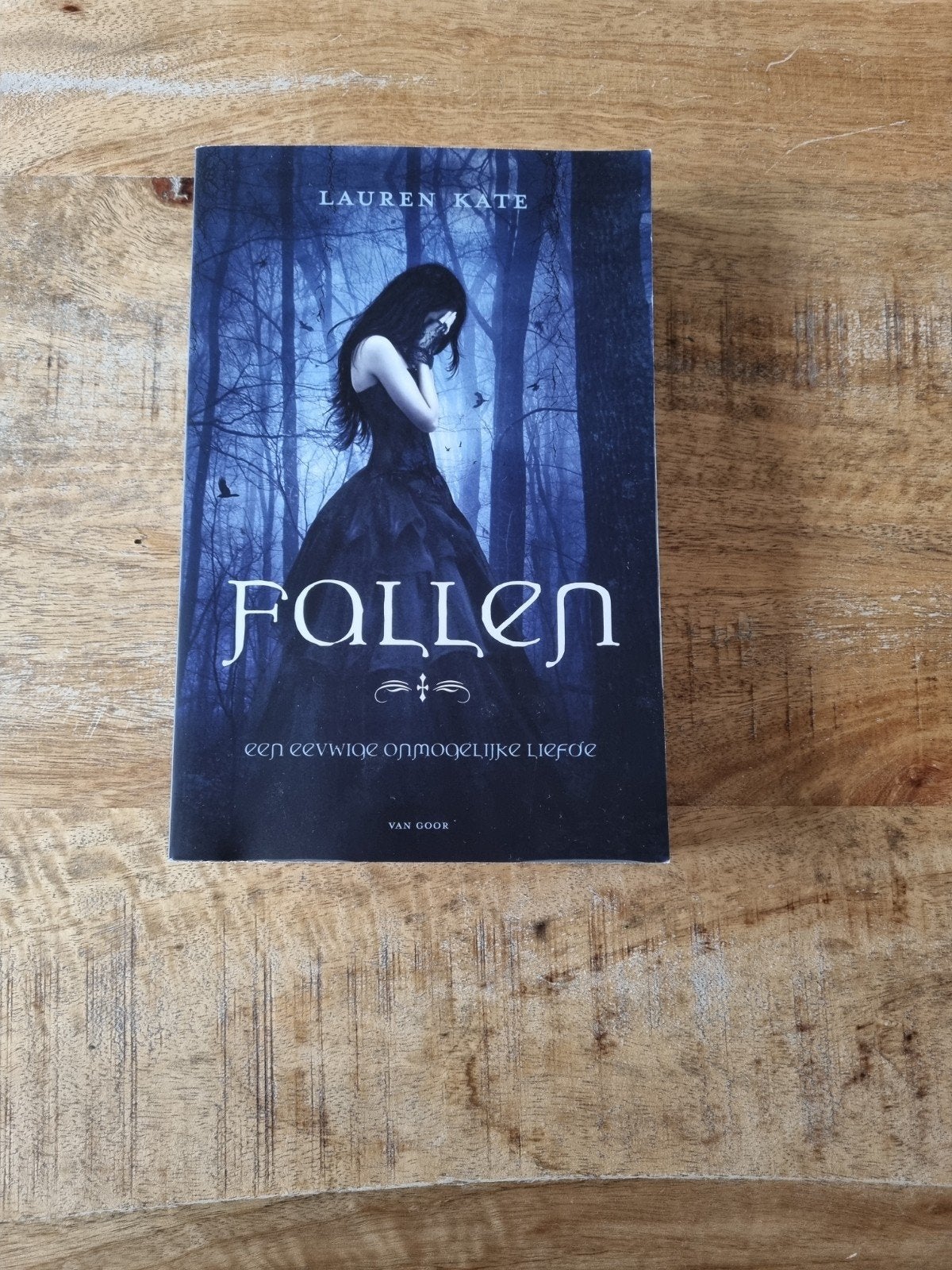 Fallen - Een eeuwige onmogelijke liefde (Lauren Kate), Ophalen, Zo goed als nieuw, Lauren Kate