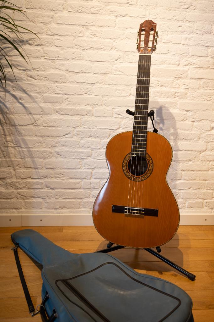 Akoestische gitaar met tas en standaard, Ophalen, Gebruikt, Klassieke of Spaanse gitaar