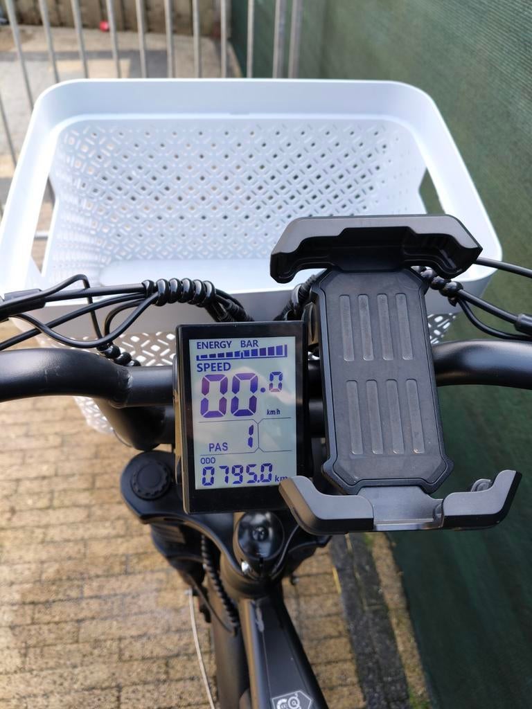 E-bike met alarm, dubbele sleutels en hangslot, Gebruikt, 51 tot 55 cm, 50 km per accu of meer, Ophalen