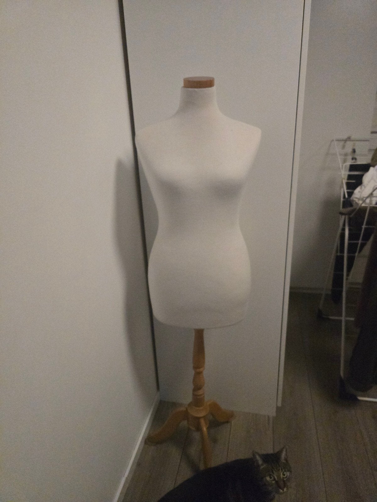 Mannequin / Paspop, Kleding | Dames, Onbekend, Ophalen