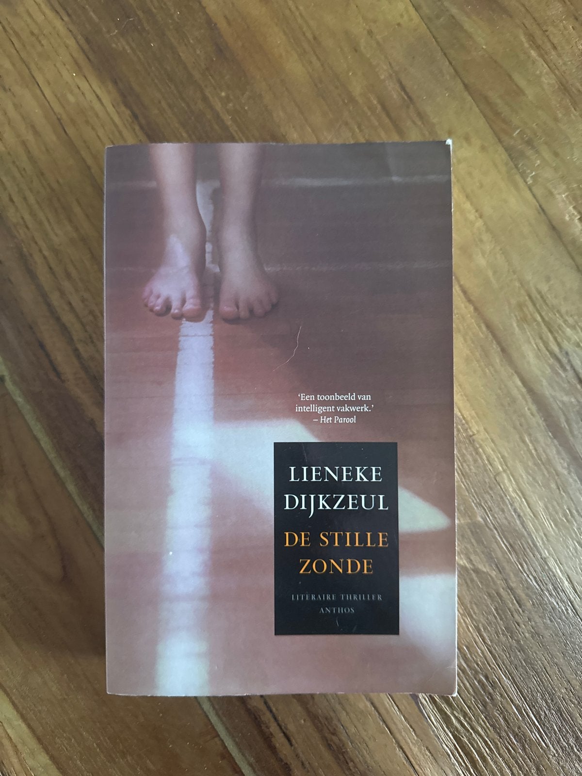 Lieneke Dijkzeul - De Stille Zonde (Literaire Thriller), Ophalen, Gelezen, Nederland
