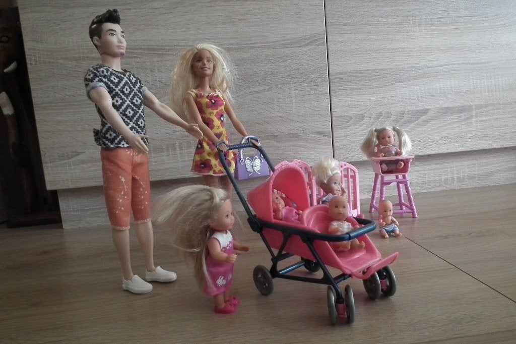 Barbie gezin, Kinderen en Baby's, Ophalen, Gebruikt, Barbie