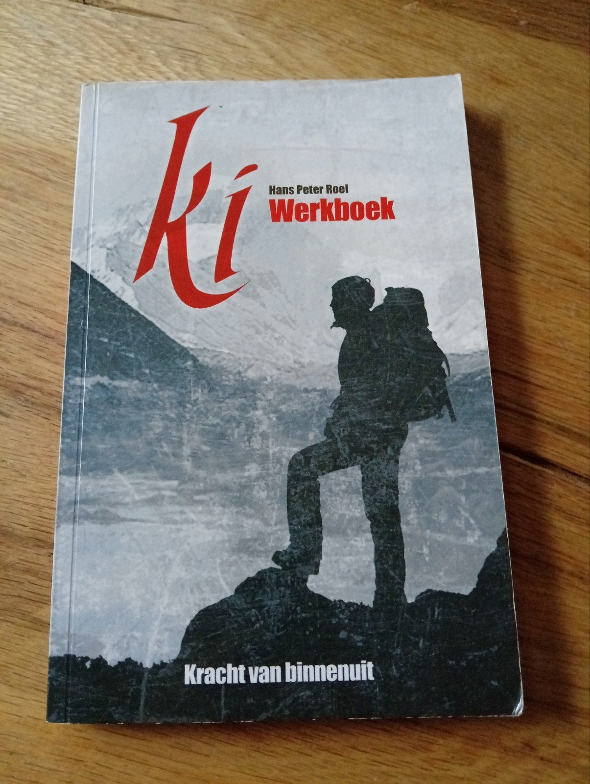 Ki Werkboek: Kracht van binnenuit - Hans Peter Roel, Boeken, Gelezen, Spiritualiteit algemeen, Hans Peter Roel, Ophalen of Verzenden
