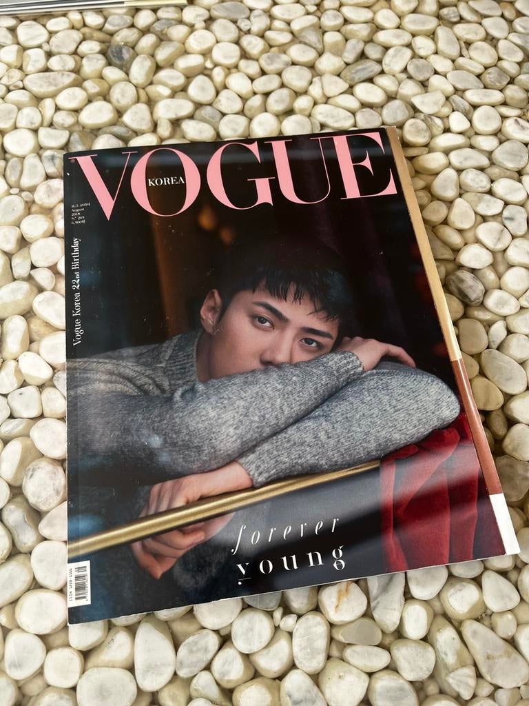 Sehun Vogue Korea editie, Boeken, Ophalen of Verzenden, Zo goed als nieuw, Glossy