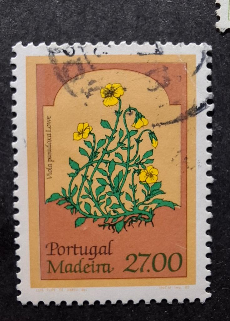Madeira bloemen 1, Ophalen of Verzenden, Dier of Natuur